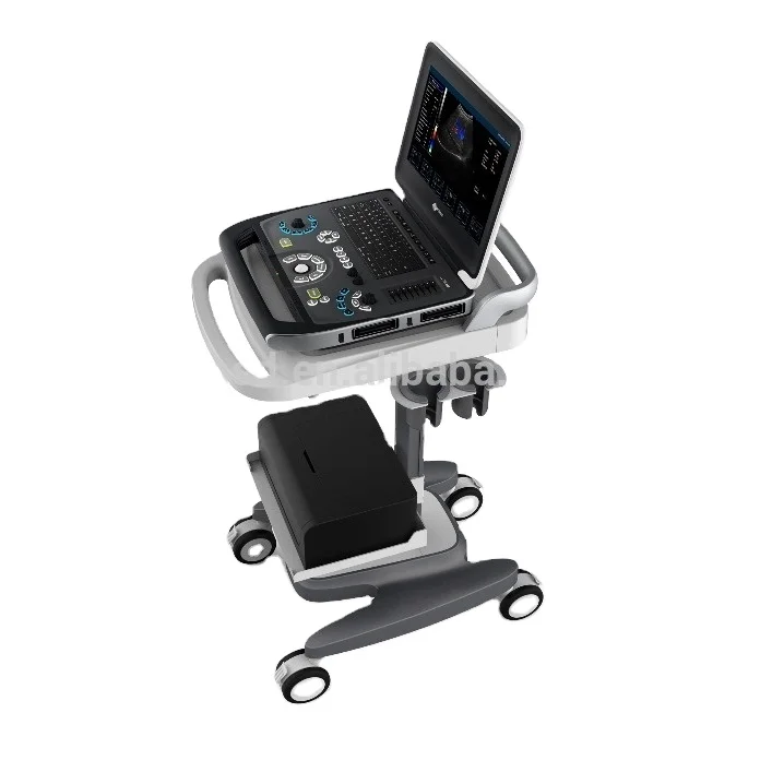 RuiHua brand  laptop Color Doppler Ultrasound cheap price