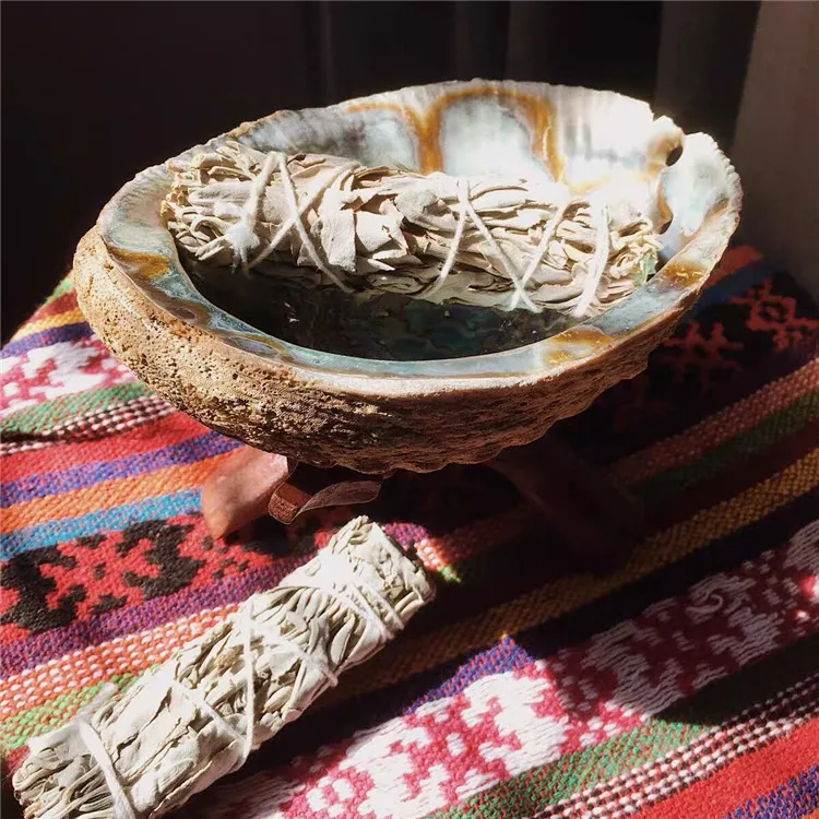 10-12cm Natural Craft Seashell Polished Chakra Gift Box Abalone Shell