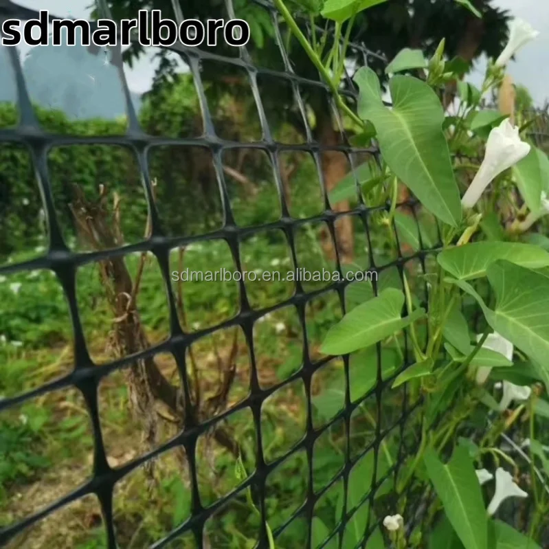 PP Biaxial Plastic Geogrid for Soil Reinforcement Polypropylene Geogrid Ground Grid As Chicken Fence