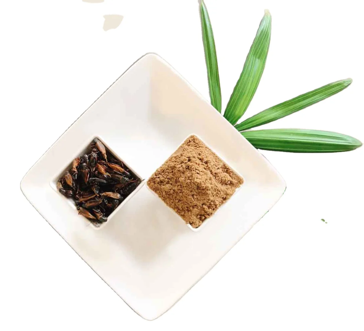 Тайская ферма, порошок для крикета с высоким содержанием белка, высококачественный порошок для крикета, белок, пищевая добавка GMP GAP HACCP