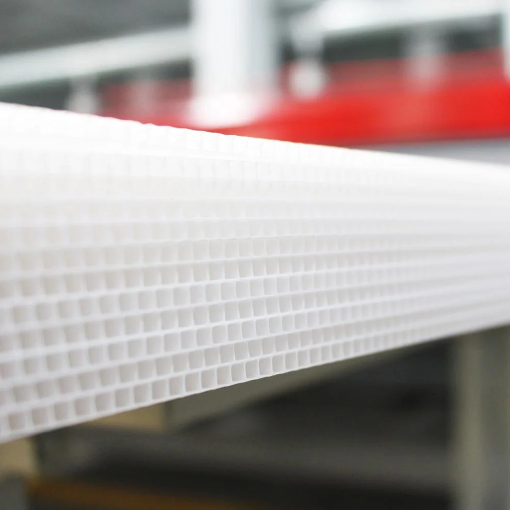 Foldable PP Corrugated corflute Plastic Okra Box