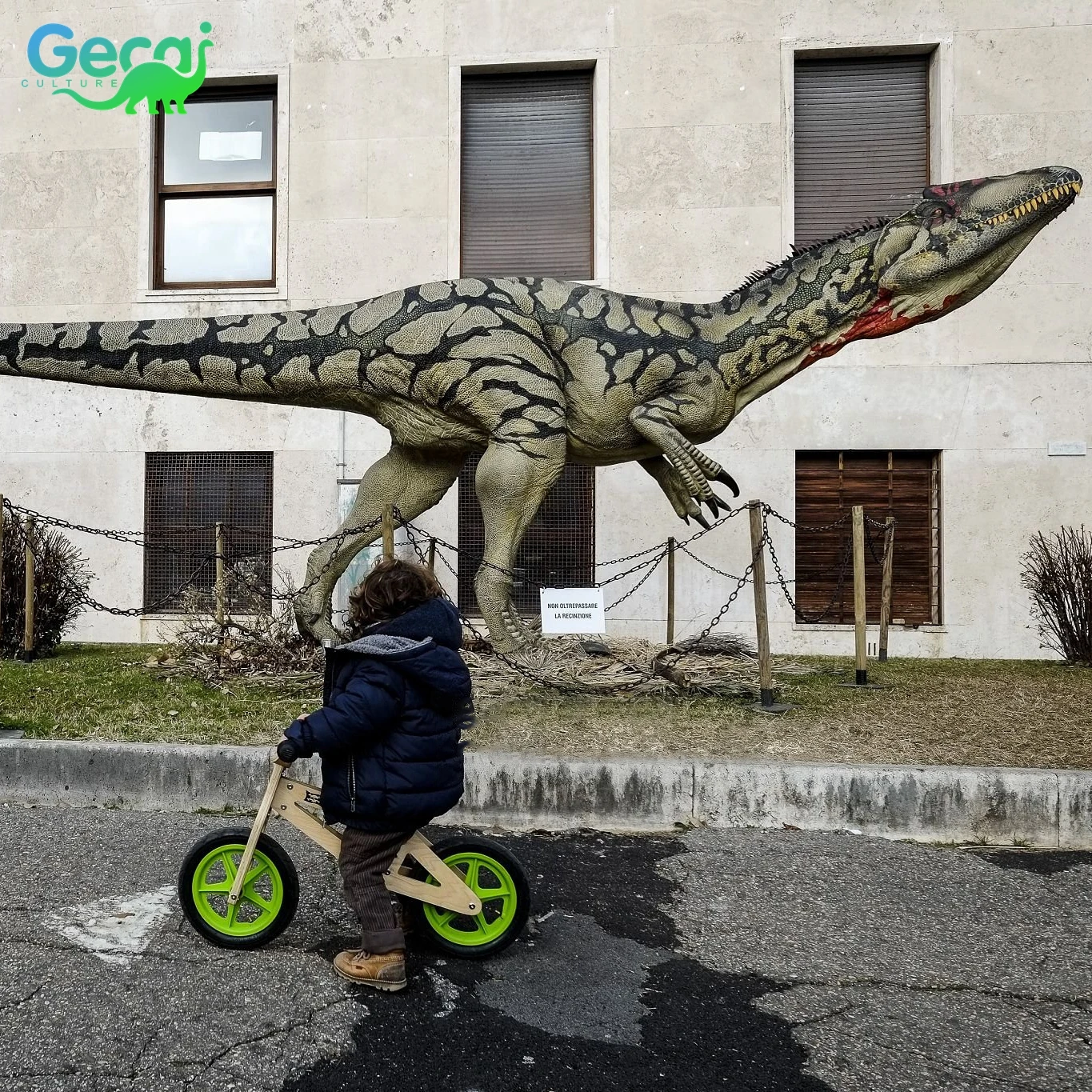 Gecai Life-size Replicas Robot Large Realistic Walking  Raptor Dinosaur Figures For Sale