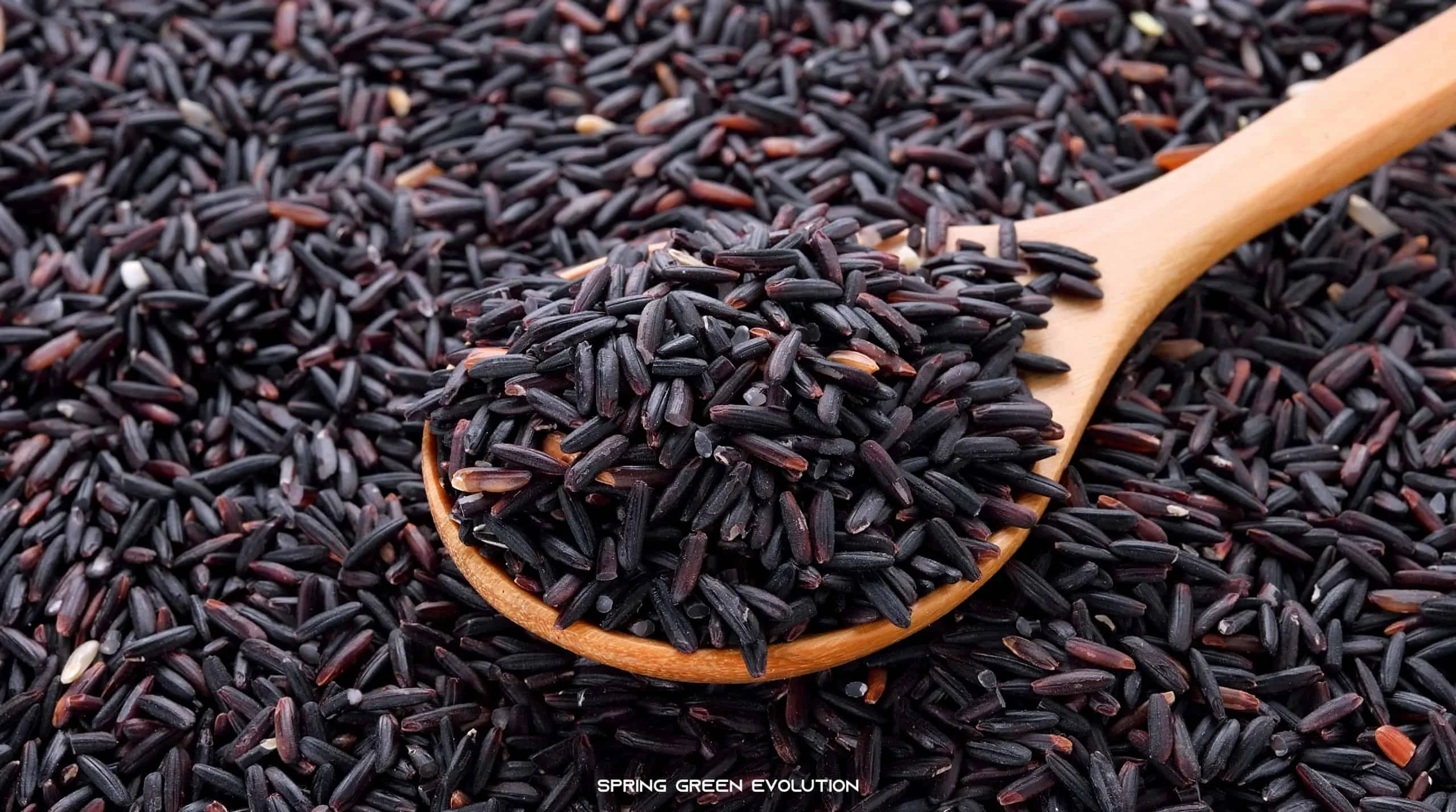  Оптовая продажа высококачественный 100% натуральный рисовый рис из Таиланда