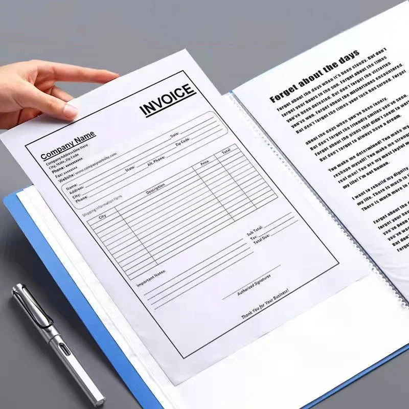 Китайская фабрика, пластиковая папка для файлов формата A4, 10 карманов, прозрачная книга для документов