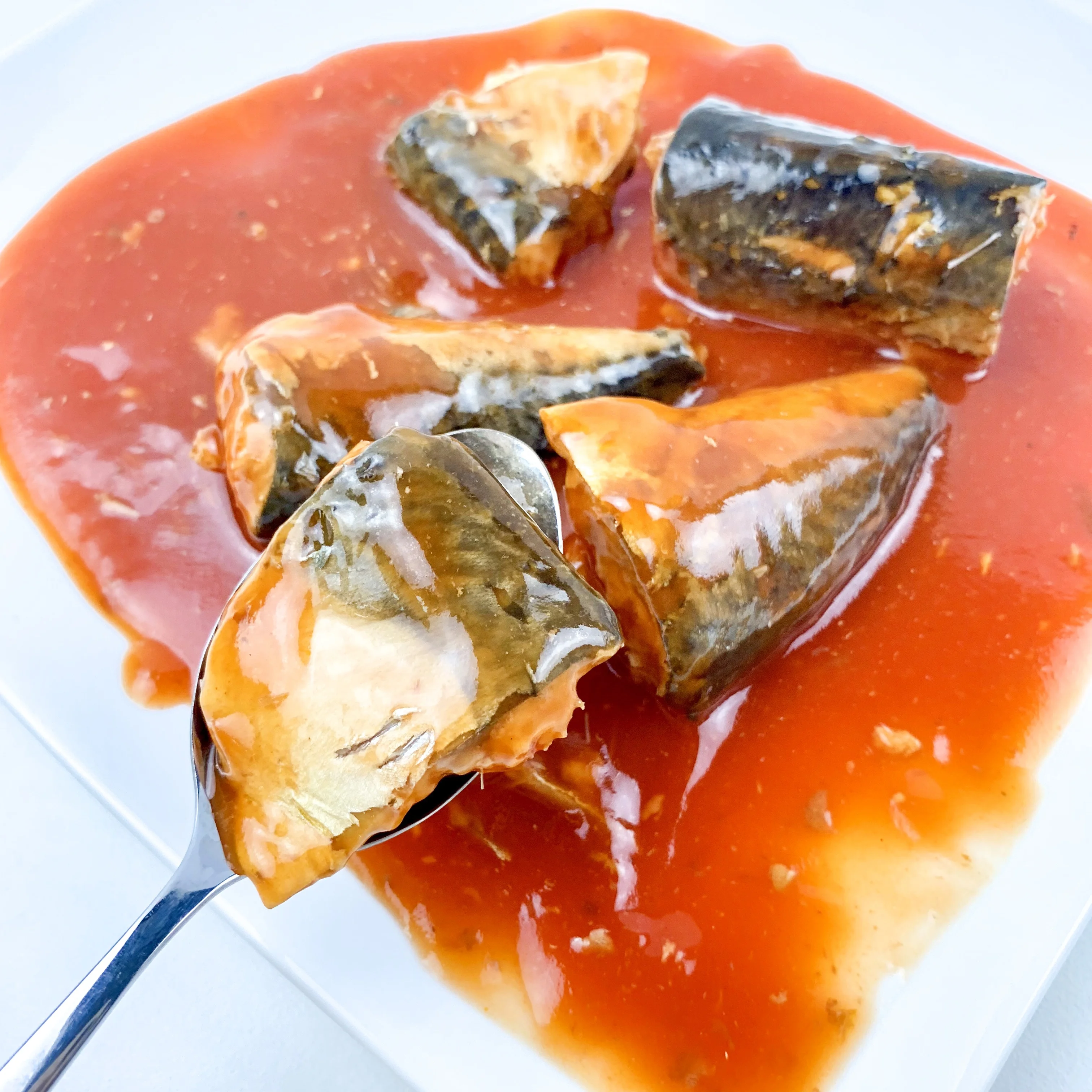 Manufacturers price mackerel canned in tomato sauce oil brine mackerel tin fish norway