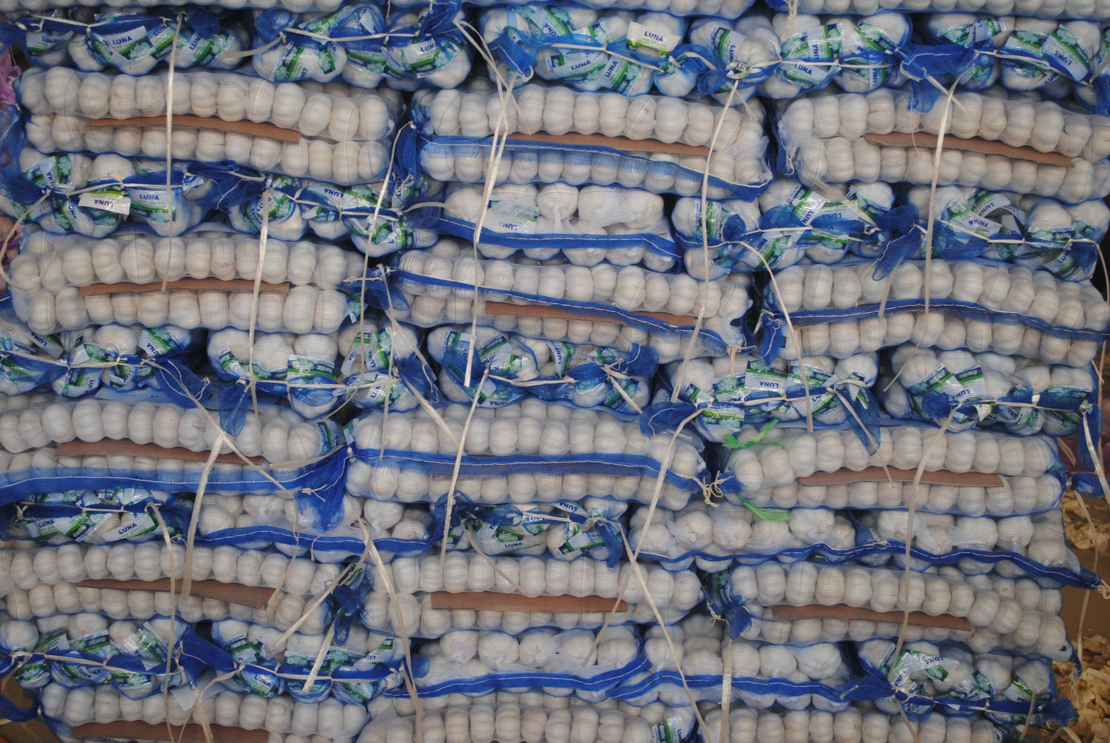 fresh garlic 10kg PACKAGE wholesale export