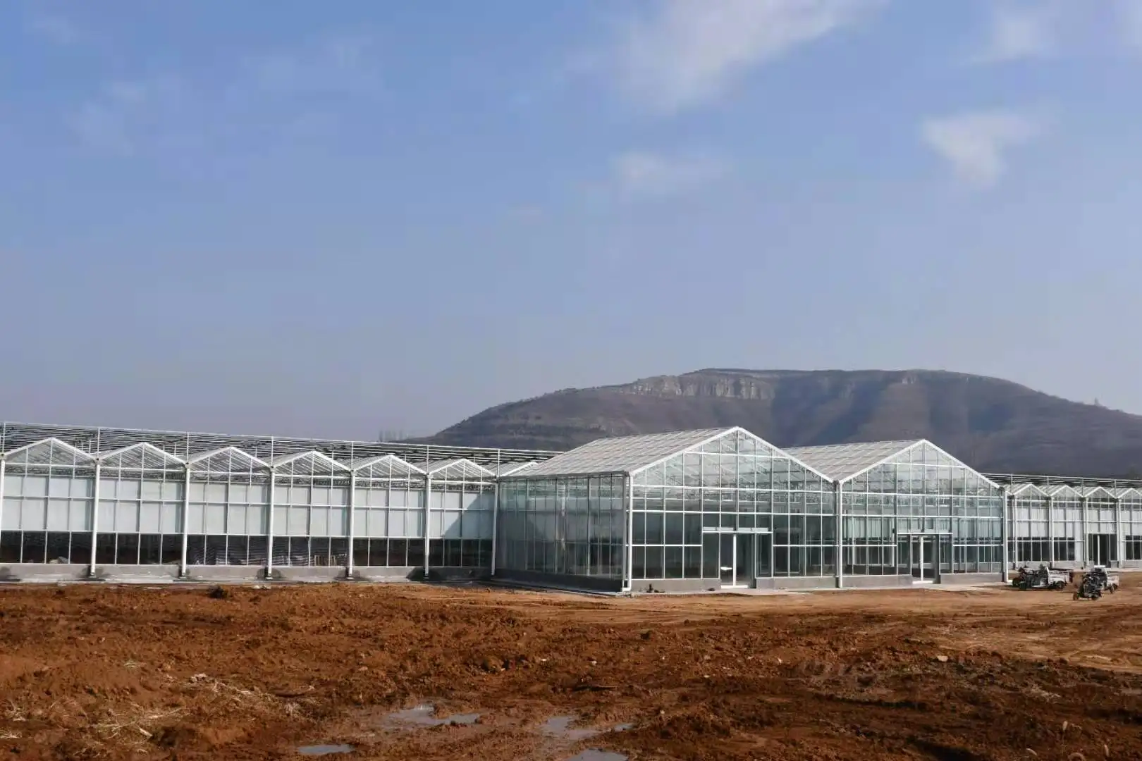 greenhouse.jpg
