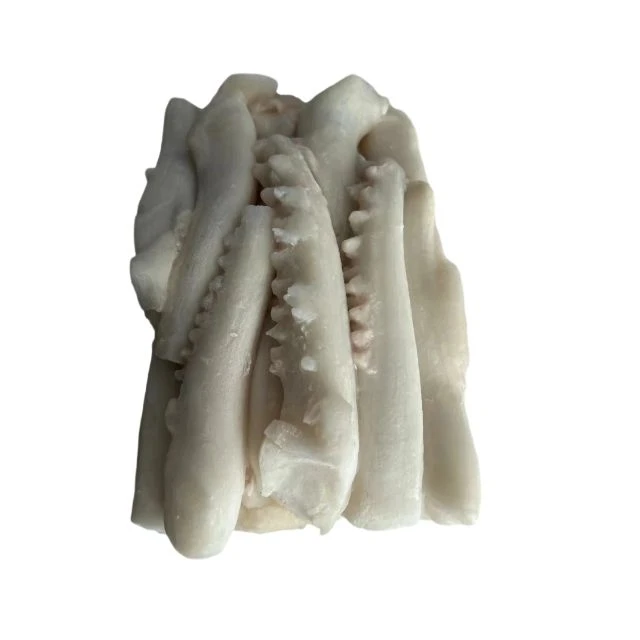 Wholesale Cheap Price Squid Seafood Frozen Giant Squid Tentacle