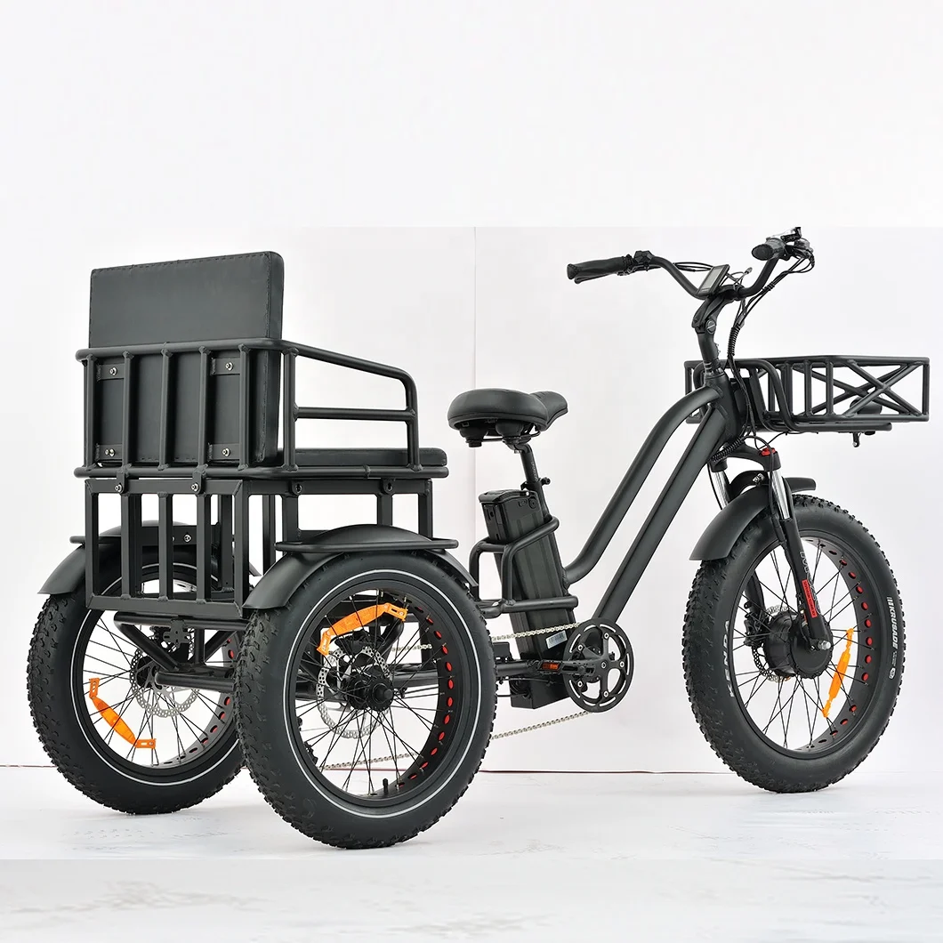 Cargo Tricycle Electric Bike Family 3wheel Electric Bike 2 Person Seat Electric Tricycle With Passenger Seat
