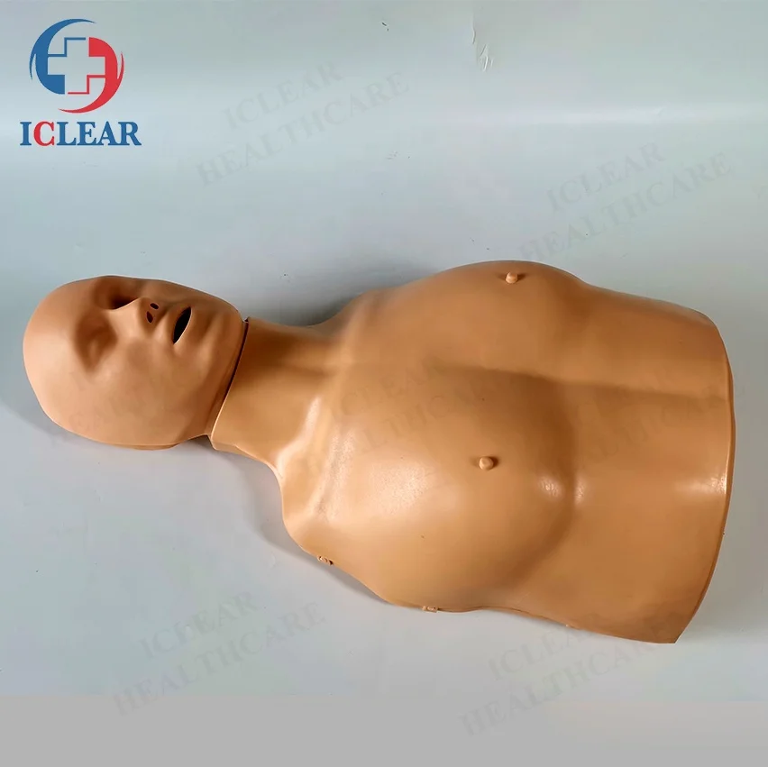 Простой половина тела сердечно-легочной реанимации обучающий манекен