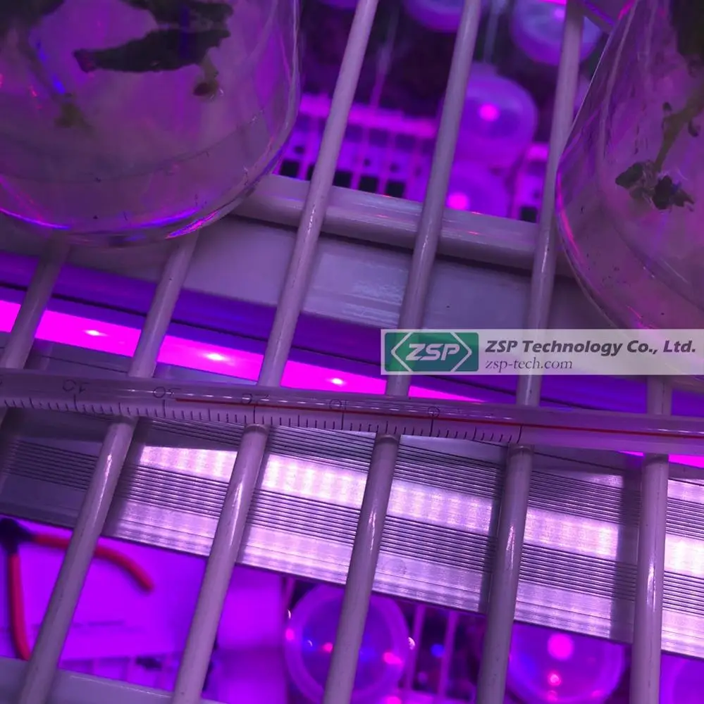 ZSP waterproof ZPDT802 LED Grow Light tissue culture philodendron