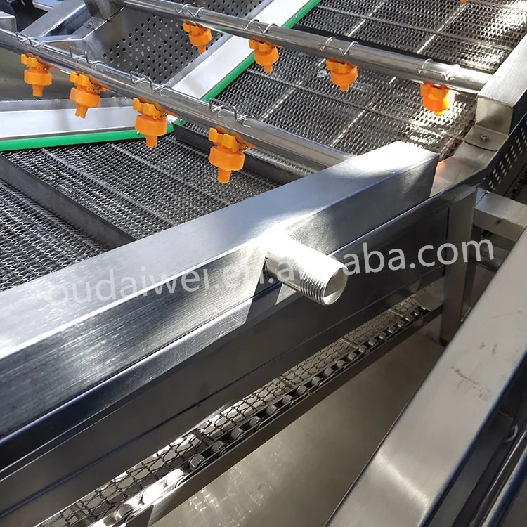 Automatic Industrial Bubble Coriander Squid Fruit Coconut Roller Large Scale Clean Wash Machine For Brush