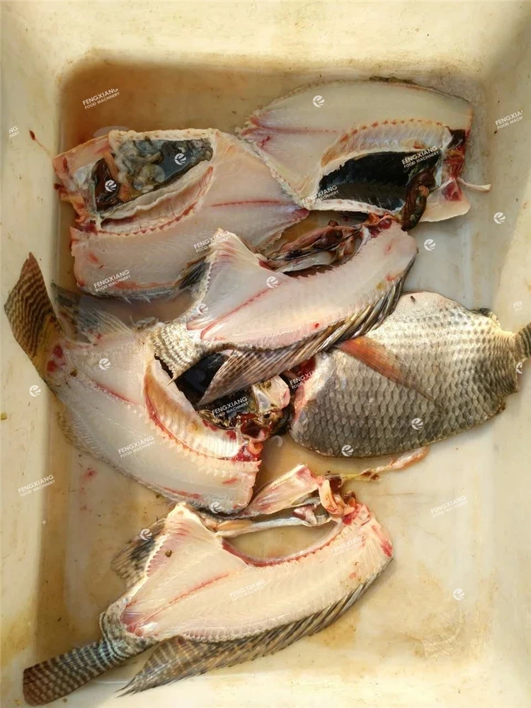 FGB-180 tilapia filleting machine, tilapia cutting machine, tilapia separating machine