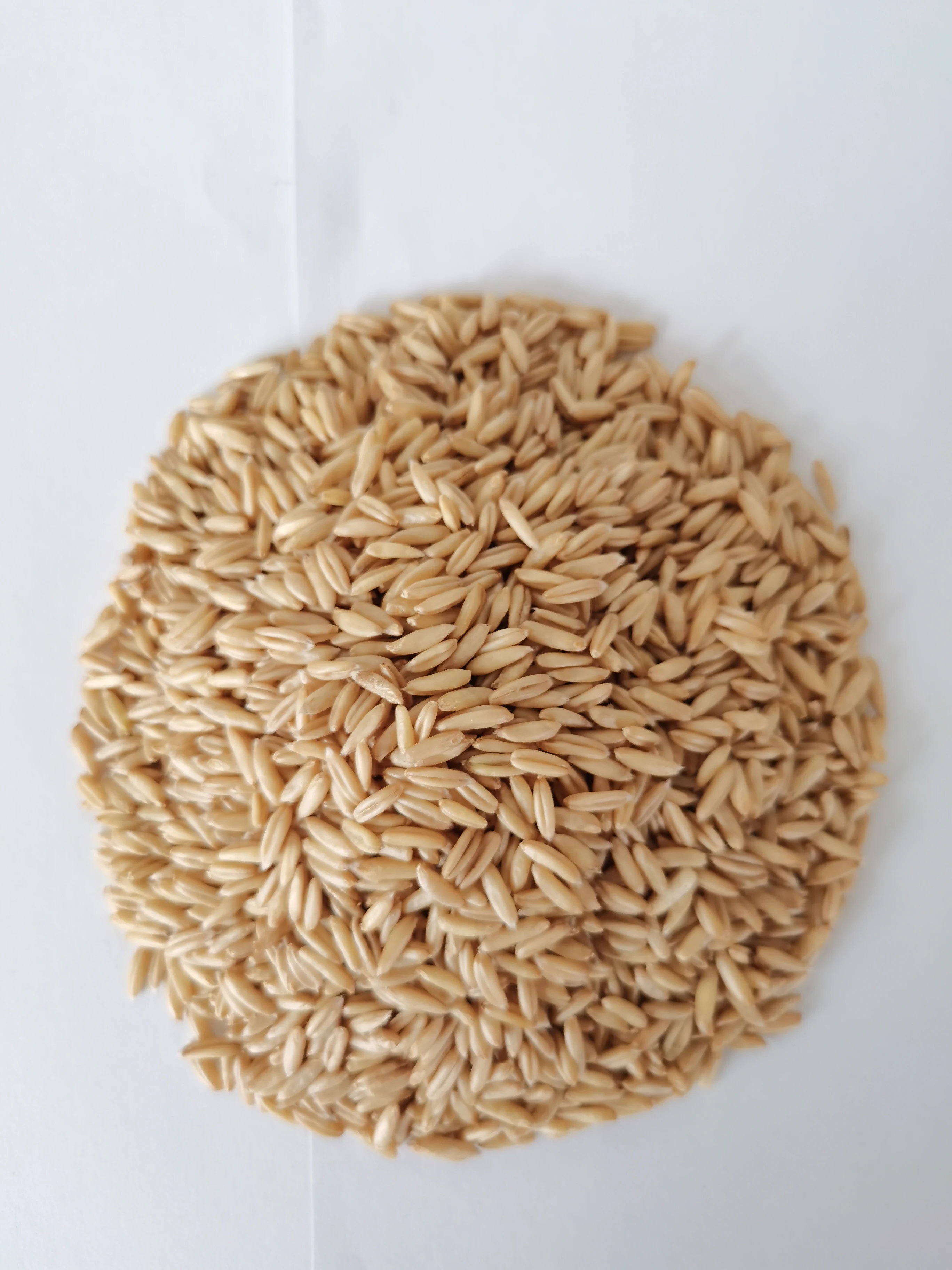 
Sell High-Quality Good Price Fresh And Vigorous 450g Naked Oats 