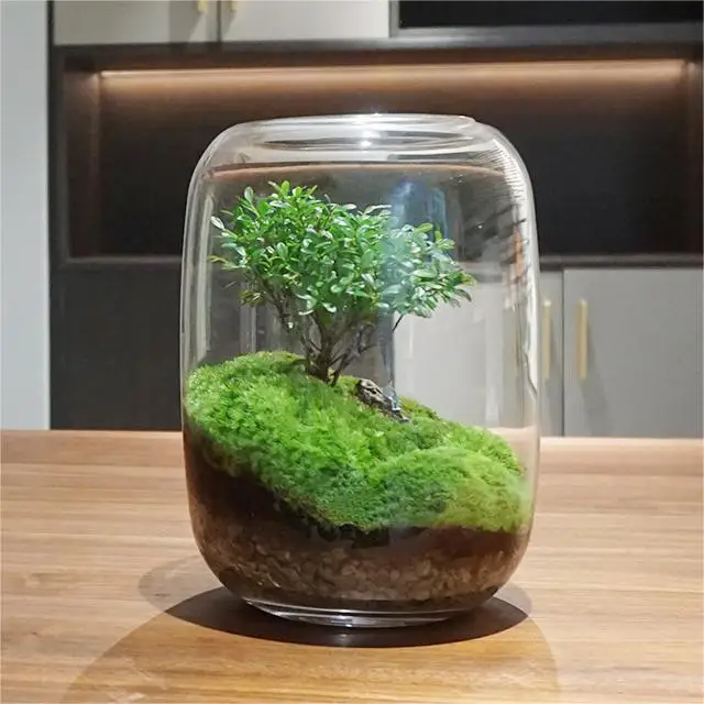 LONGSTAR Creative Desktop Micro Landscape Vase DIY Green Plant Ecological Bottle Moss Landscape Bottle Modern Simple Flower Vase