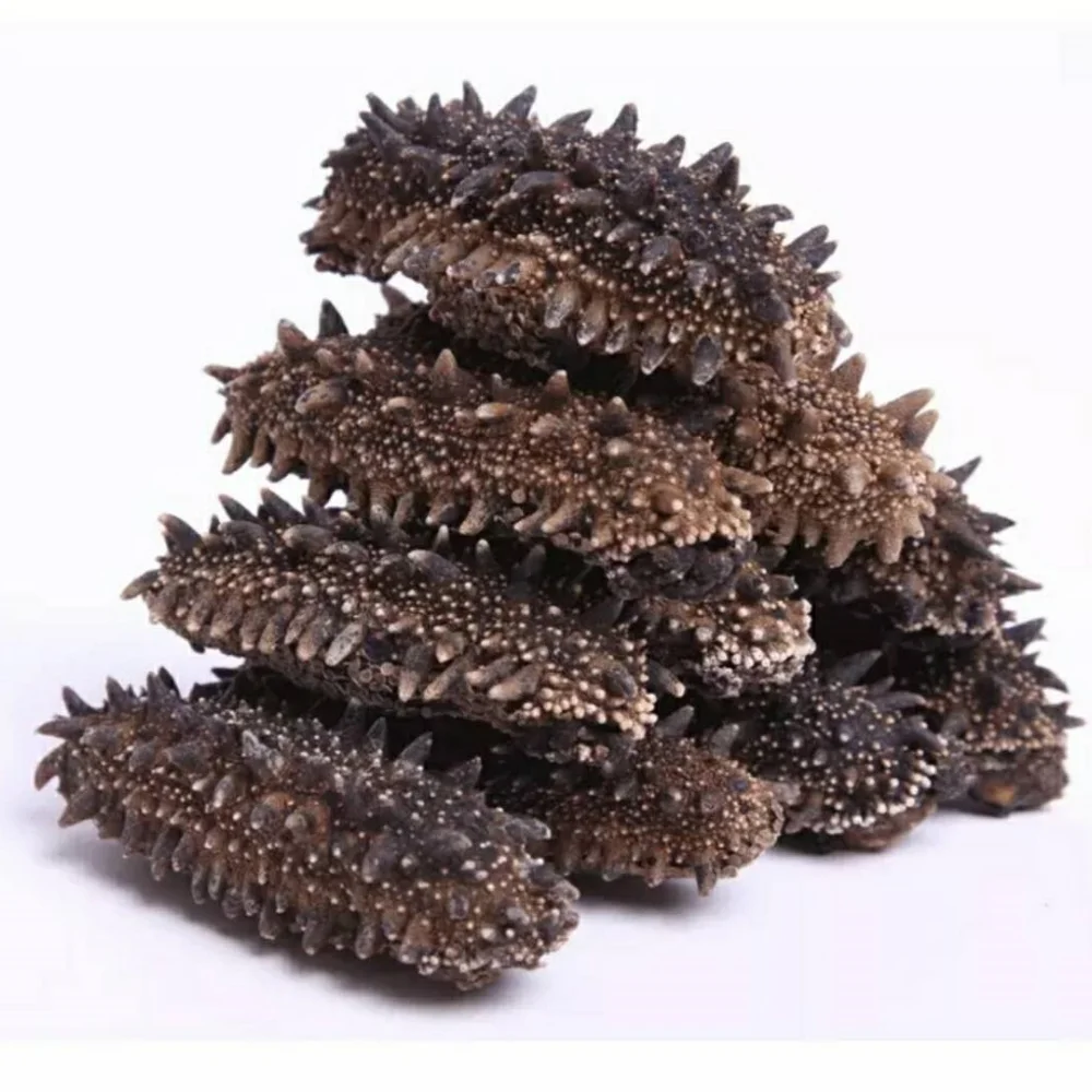 High quality Sea Cucumber Peptides powder 90% Sea Cucumber Extract healthcare supplement Sea Cucumber Peptides powder for sale