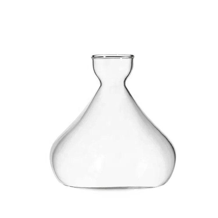 Avocado Tree Growing Kit Avocado Pit Planting Bowl Cork Seed Starter Tray with Clear Water Container Avocado Seed Cone Sprouters