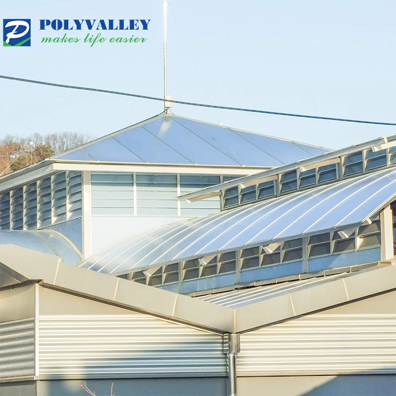 clear polycarbonate hollow sheet