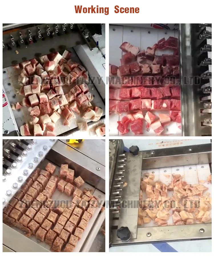 CE Approved chicken Cutter machine Fish Dicing Frozen Meat Dicer Cube cutting machine Meat Strips Cut Small Meat cutting machine