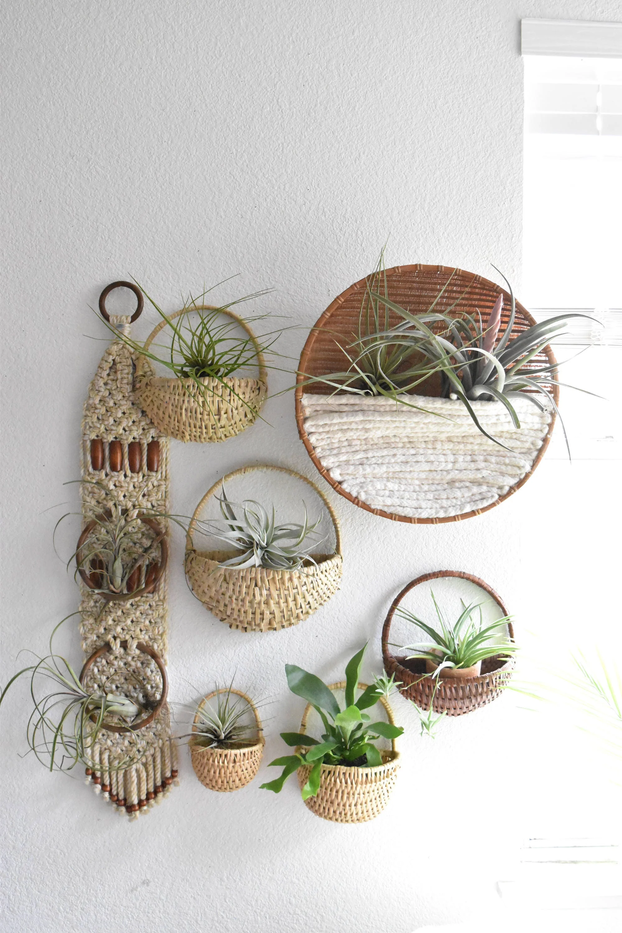Macrame Air Plant Holder Boho Wall Hanging Macrame Pod Pocket Mini small plant hanger nest