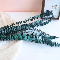 China supplies other wedding decor for christmas decoration flowers real centerpiece green preserved flowers Eucalyptus items