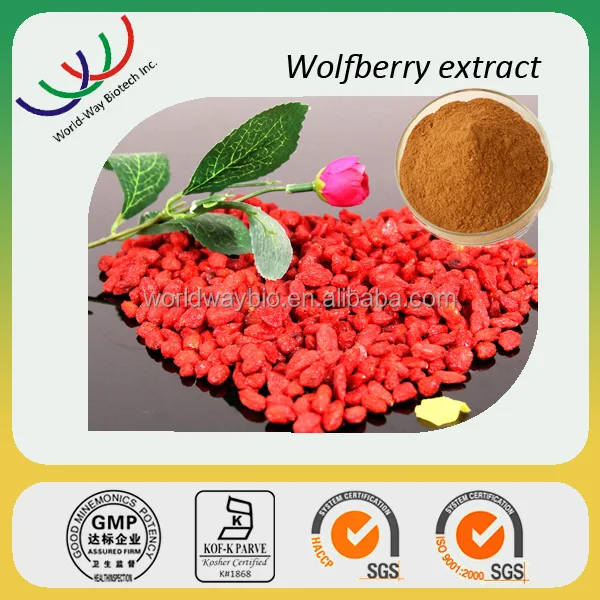 Natural Goji Juice Powder Chinese Wolfberry Lycium Barbarum Fruit Extract Water-based Halal Certified Packaged in Bottle Can