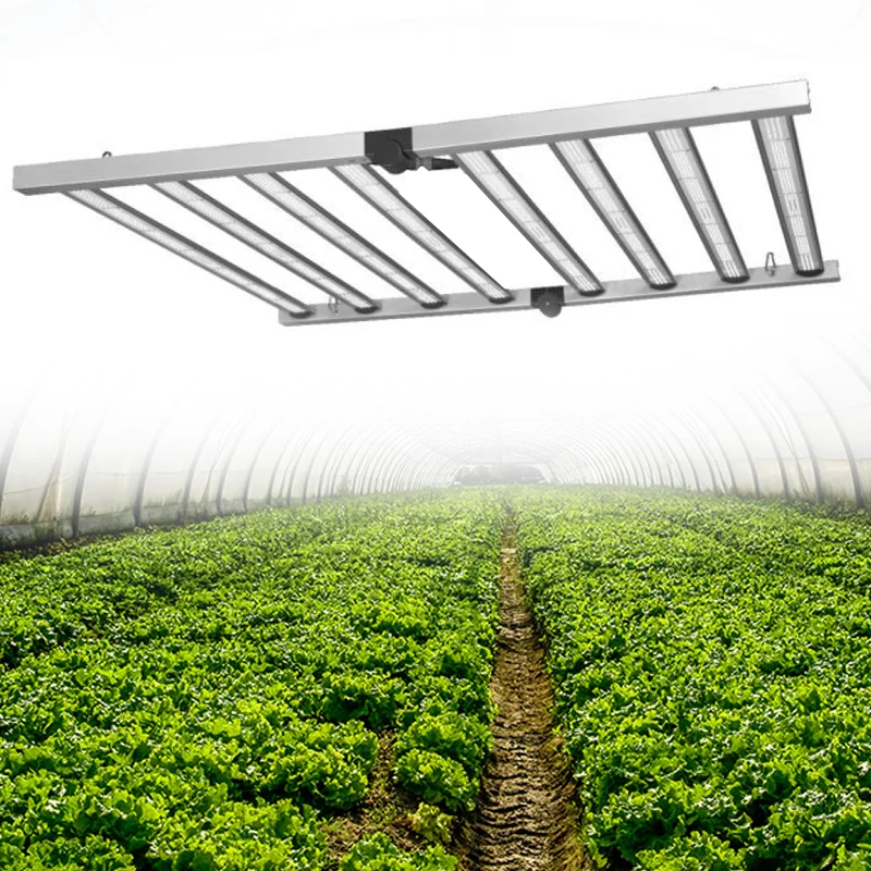 
New Product Grow Led Growing Lights For Plants Indoor Led Lights 600 Watt For Home Hobbyist Cultivation 