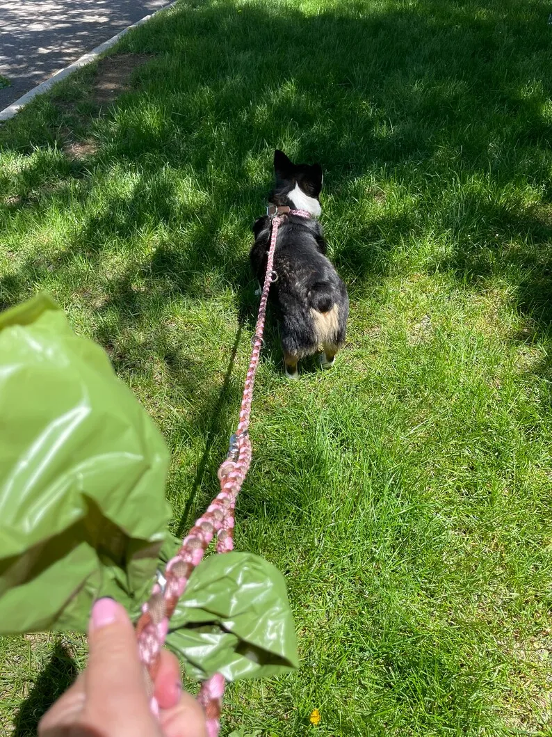 wholesale pet products Braided Hands Free Running Double Thick tactical Paracord Rope Dog Leash