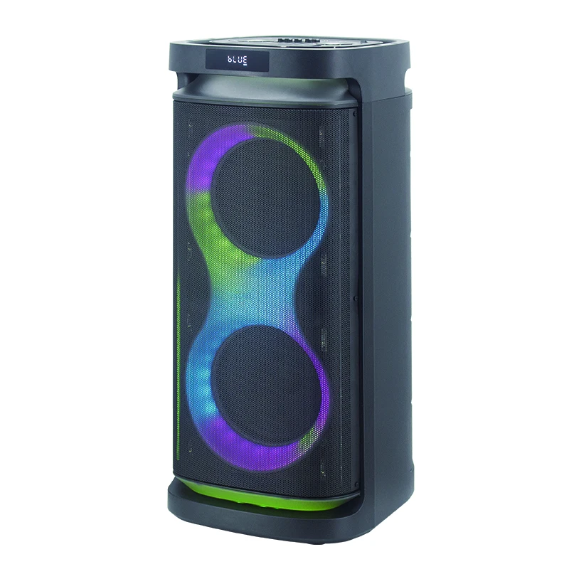 Double 10 Inch Recharging Trolley Portable Speaker Trolley Sound Speaker Box Wireless Speaker