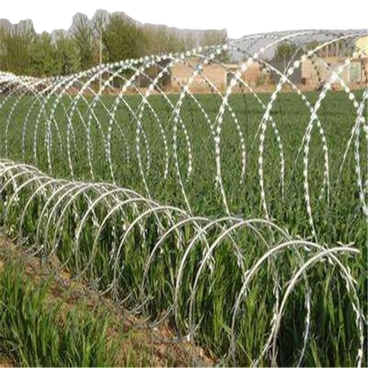 Factory supply BTO&CBT Anti-rust Galvanized Concertina Razor Wire/Razor Barbed Wire/Razor Wire