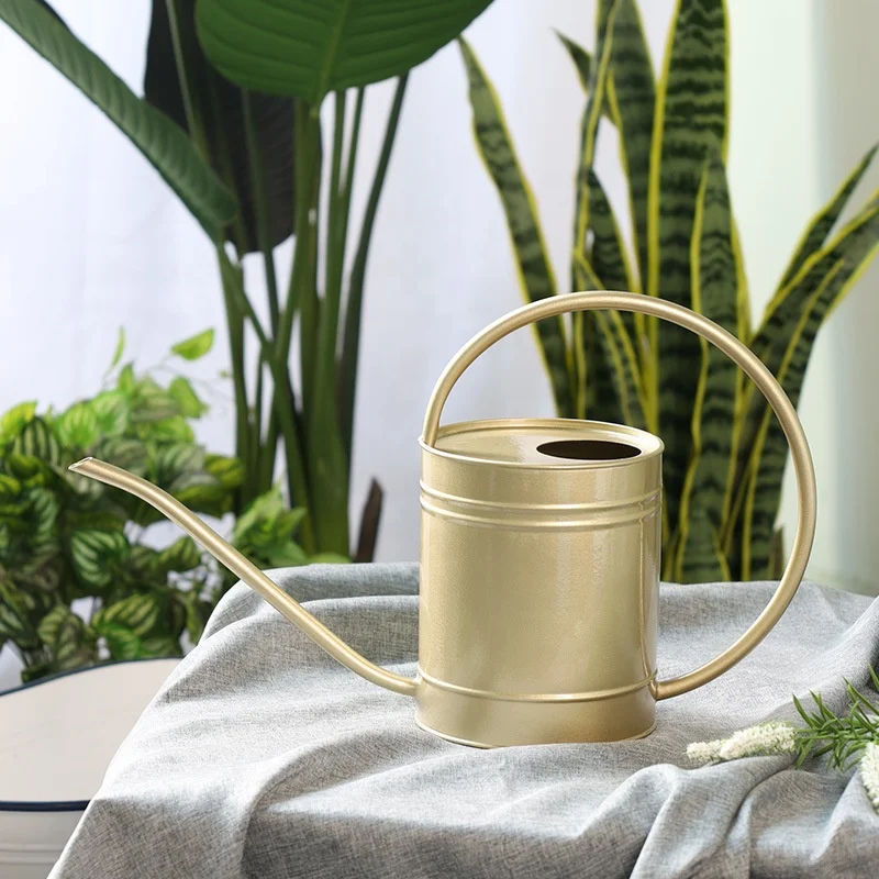 Simple creative metal art indoor household succulent plant watering can large capacity garden watering can