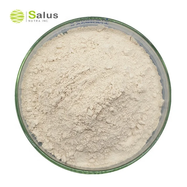 Factory Wholesale Hydroxycitric Acid 65% Garcinia Cambogia Extract Powder
