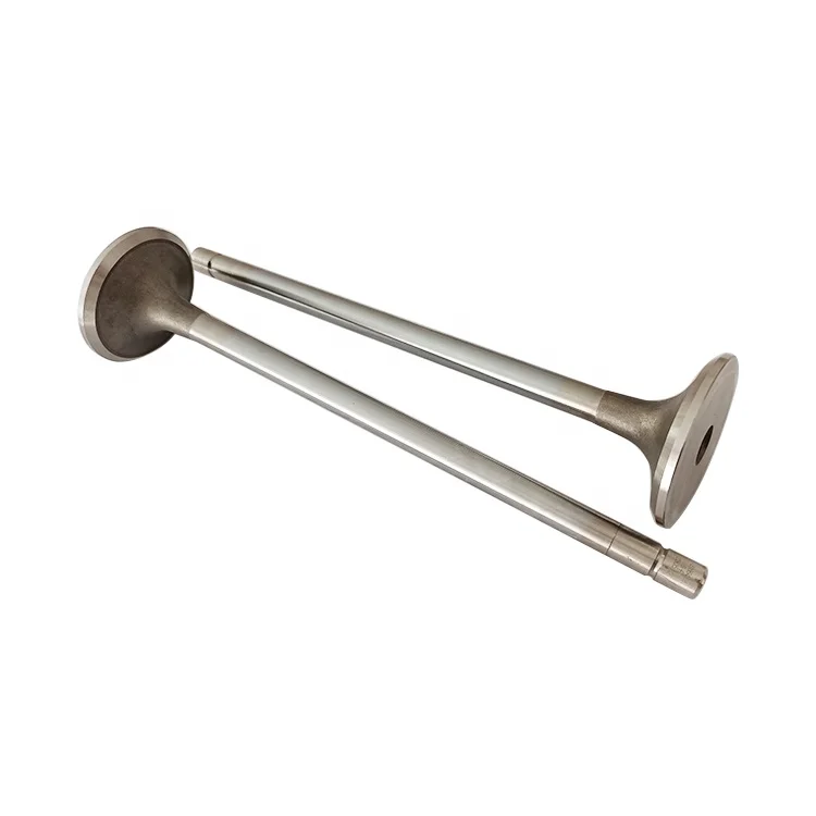 Construction Machinery Heavy Vehicle Engine N14 Exhaust Valve 3800891 3166410