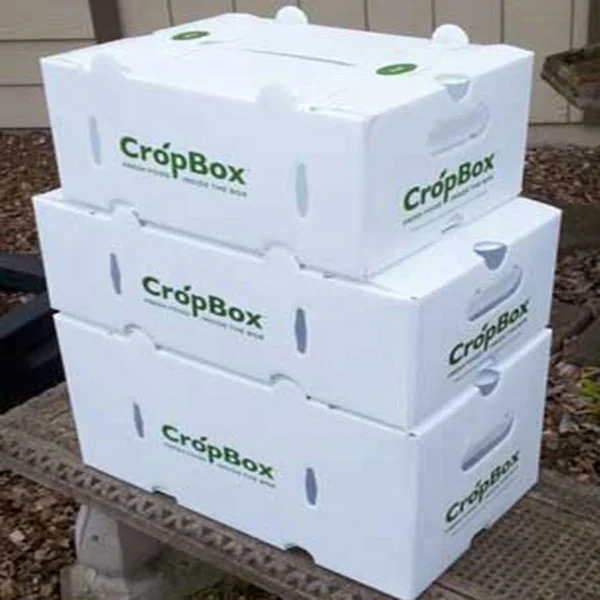 Foldable Polypropylene Corrugated Hollow sheet Storage Box,Coroplast plastic moving box