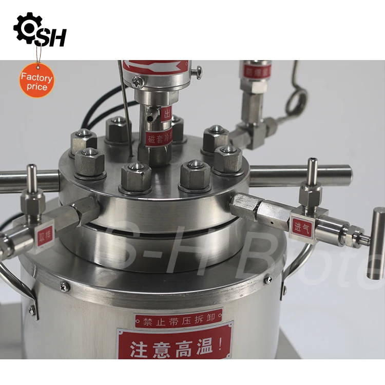 100ml Stainless Steel Magnetic Stirred High Pressure Chemical Reactor