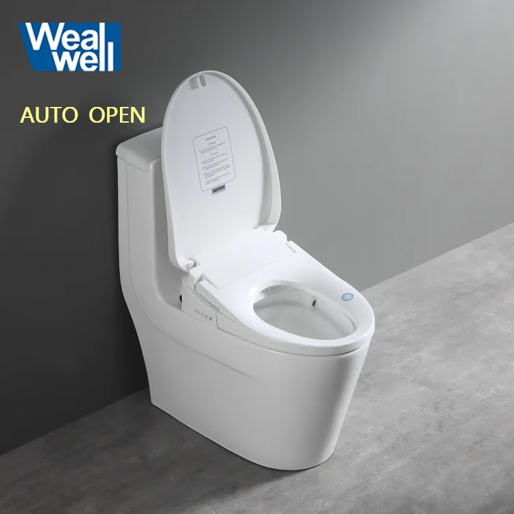 Wealwell sanitary ware auto cleaning toilet bidet with automatic flip cover auto open