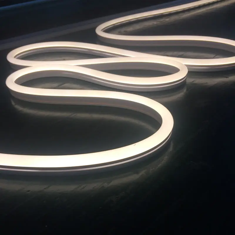 High Quality Dimmable Driver Snake Lights 5 Meter Silicone Neon Flex Smart Ceiling 24v line light Led Cob Strip Lights