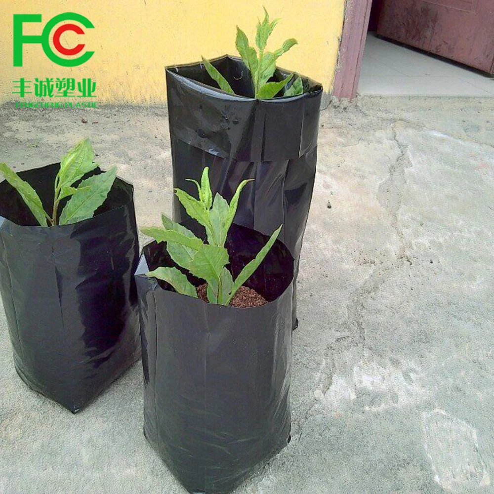 Plastic Pe Black Plant Nursery Poly Bag Perforated Agricultural Seed Nursery Pots Grow Planting Bags Poly For Nurseries Plants