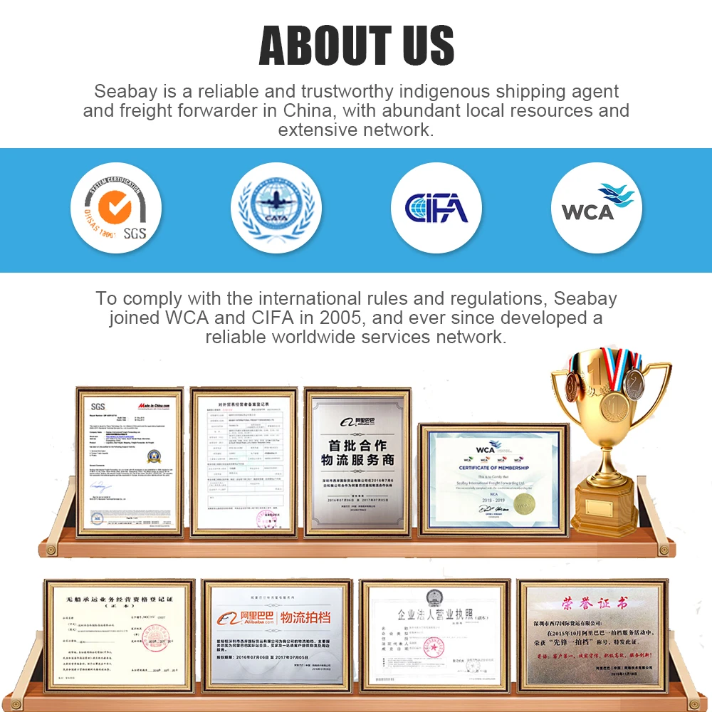 Shipping service/shipping agent from Shenzhen,China to Nepal/Worldwide destinations