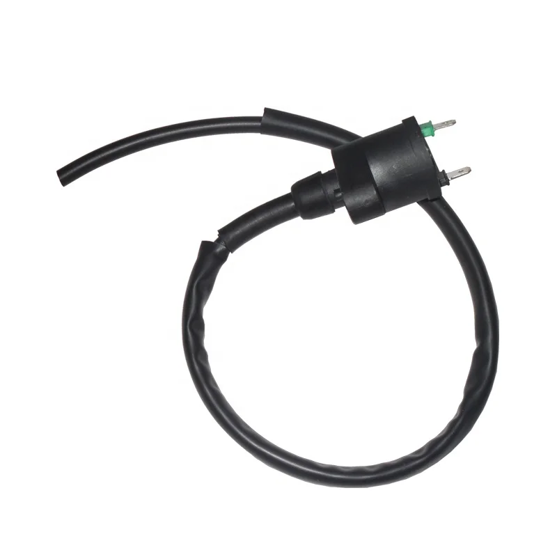 Tricycle spare parts cargo trike 125cc TITAN99 E - STORM CARGO 125 CARGO125 Motorcycle Ignition Coil