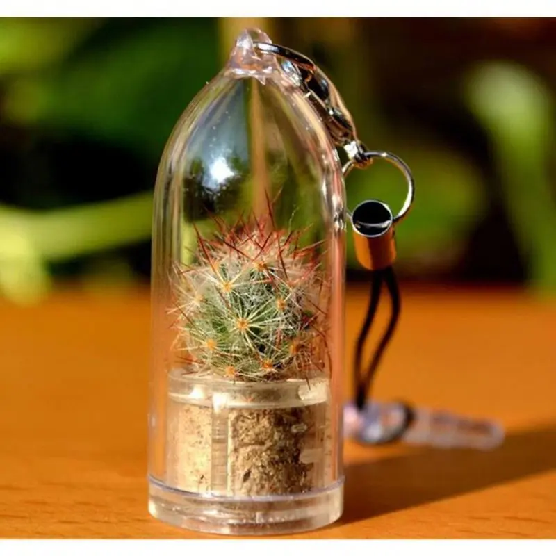 2023 alive plant fun promotional imitated mini pet baby cactus keychain