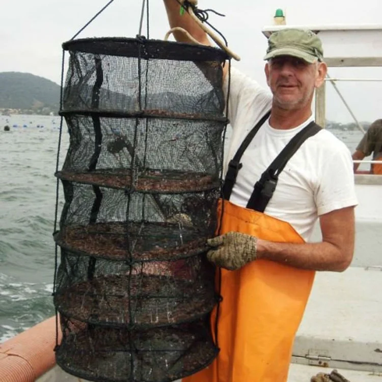 Аквакультуры фонарики для моллюсководства