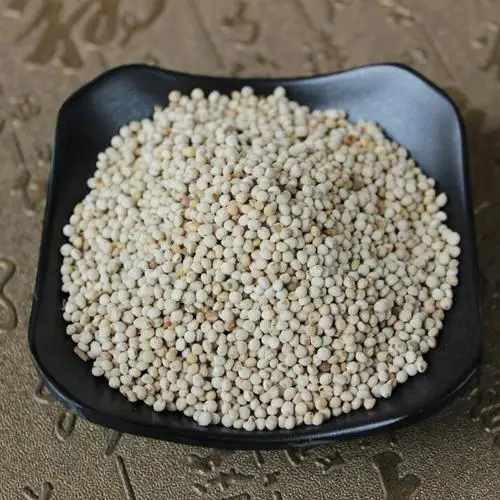 
High quality perilla seeds for oil seeds for bird 
