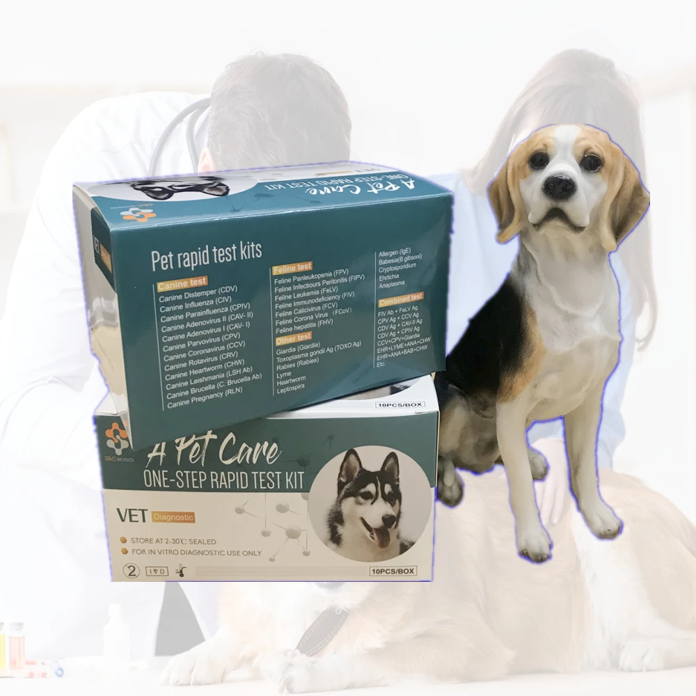 BCL Brucella Ab brucellosis pet 8 medical hospital supplies DOG/CAT disease test