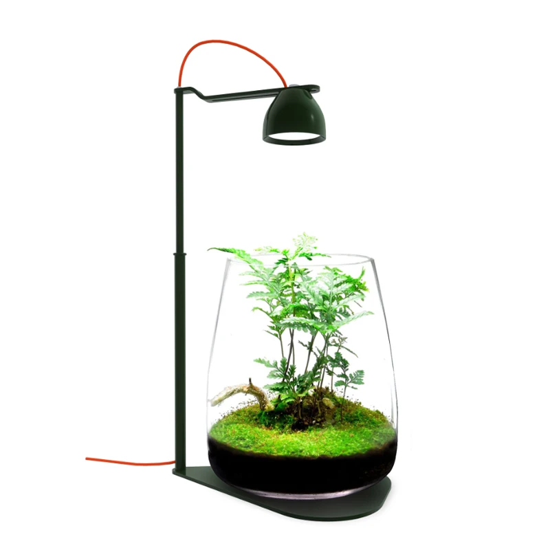 MicMol Desk Micro Scenery Ecological Lighting Desktop Micro-Scape Light For Nano Planted Small Fish Tank Lamp