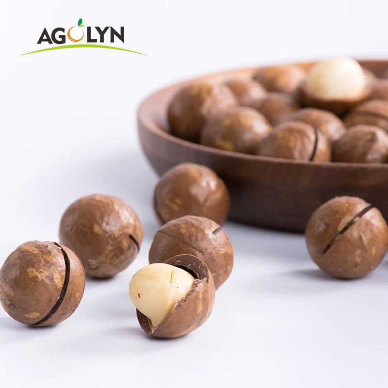 Agolyn best price and quality raw roasted macadamia nuts (1600626729007)