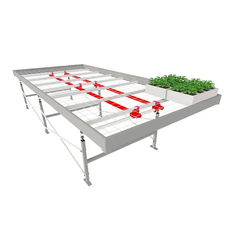 Hot Sale Agriculture Greenhouse Galvanized Wire Mesh Rolling Benches Movable Seed Beds For Nursery