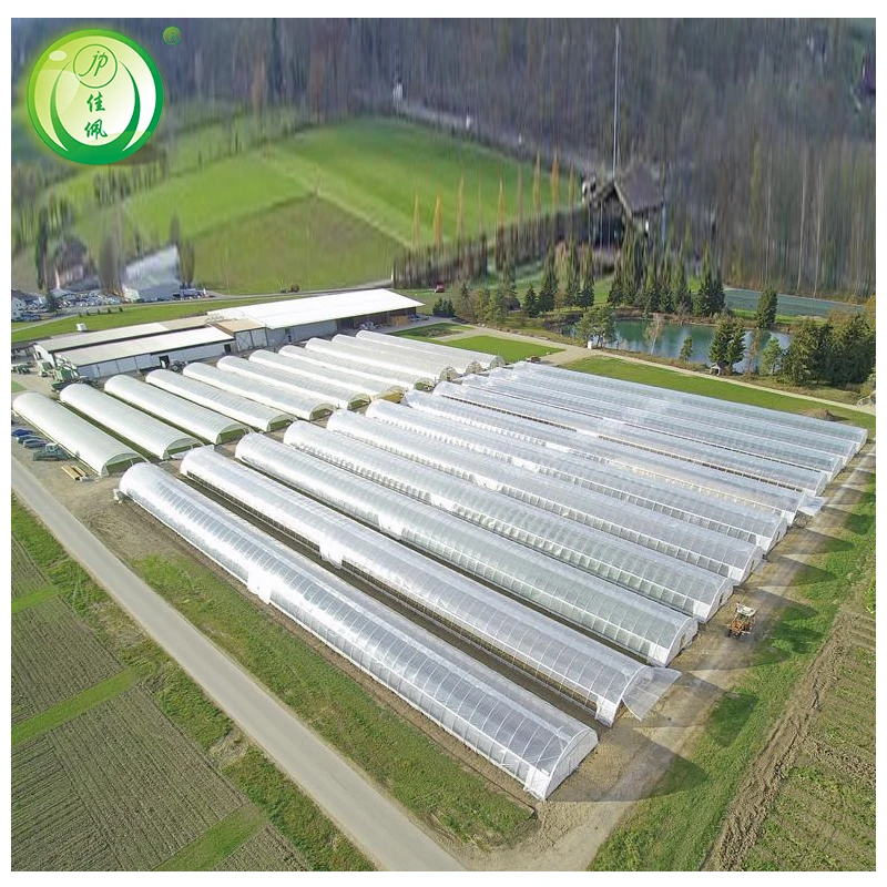 low tunnel greenhouse high strength commercial agricultural poly tunnel single-span green house tomato greenhouse For Sale