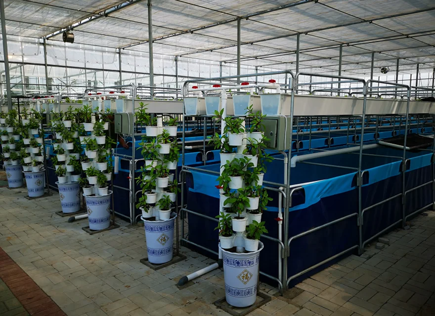 Последняя версия 2022 года складной аквариумный брезент SDM для тилапии/пруда окуня