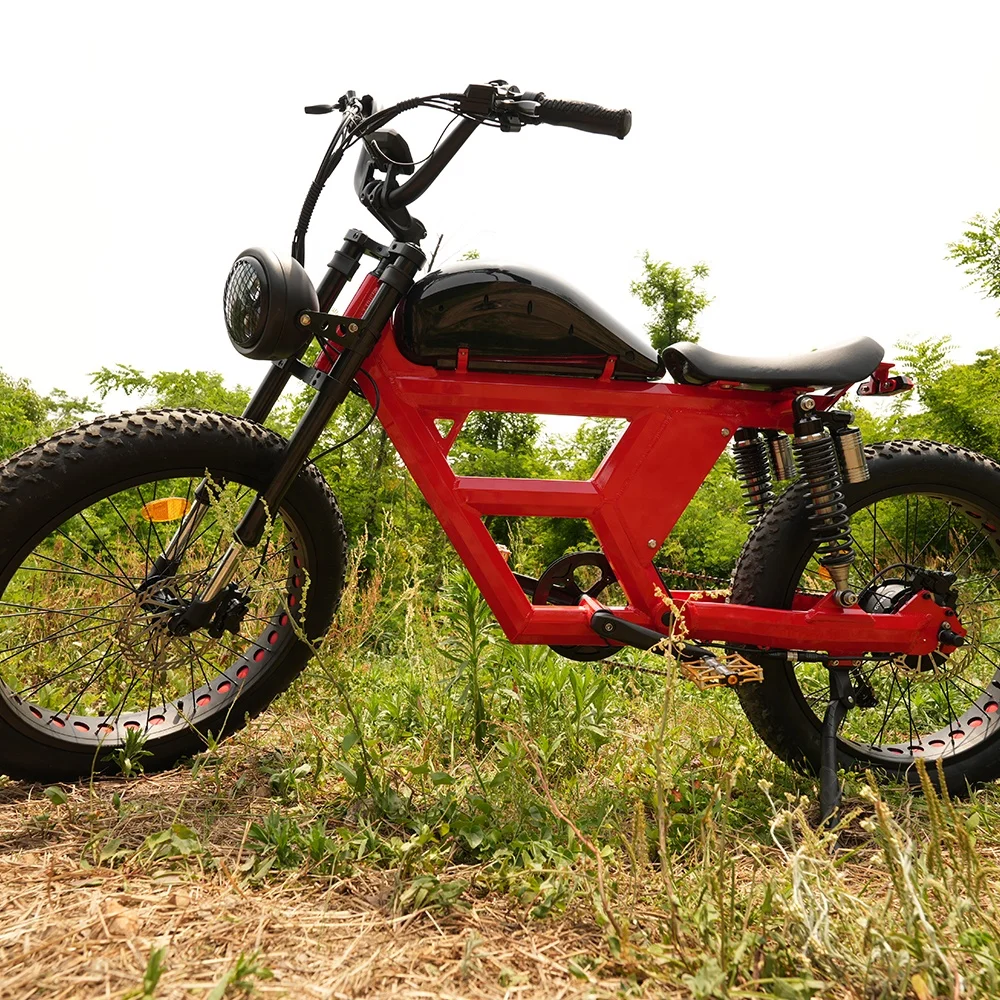 Aluminum Alloy 24inch powerful electric snow bicycle ebike beach cruiser with 7 speed gears derailleur for wholesale